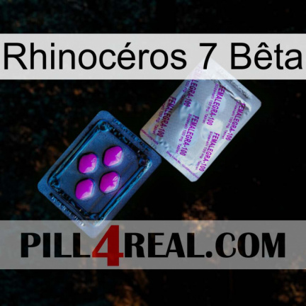 Rhinocéros 7 Bêta 37